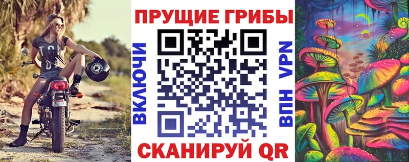 Псилоцибиновые грибы Magic Shrooms  площадка формула  Ростов 